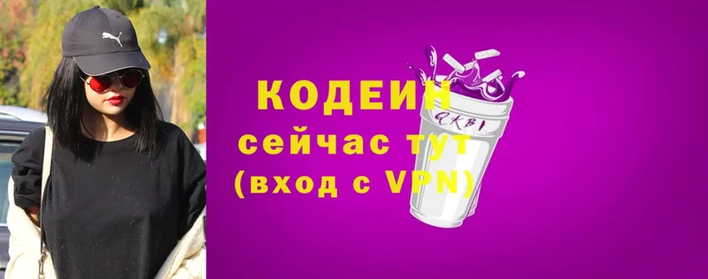 Codein напиток Lean (лин)  купить наркотики цена  Каменка 